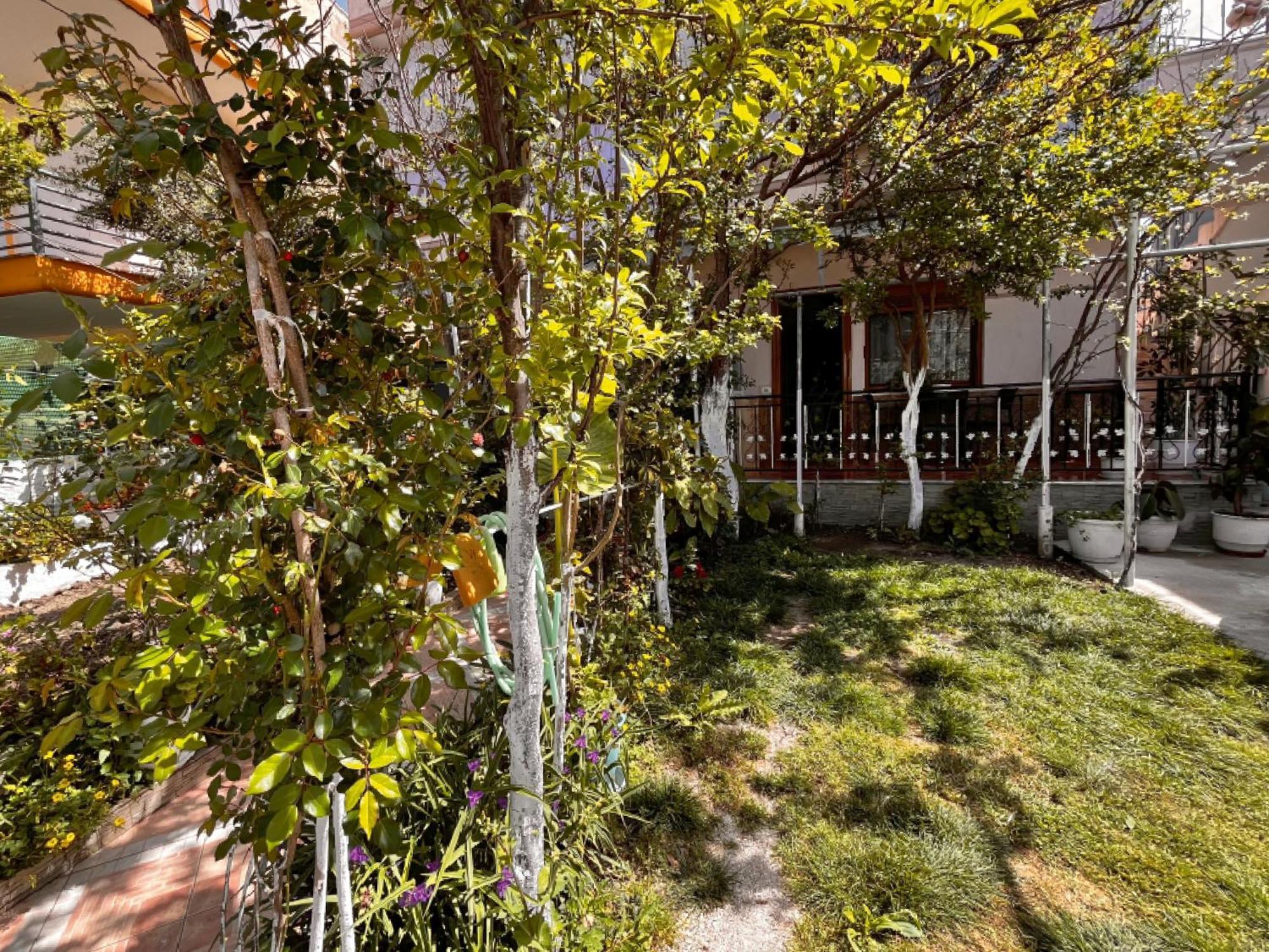 Beach & Chill Apartments Avlonya Dış mekan fotoğraf
