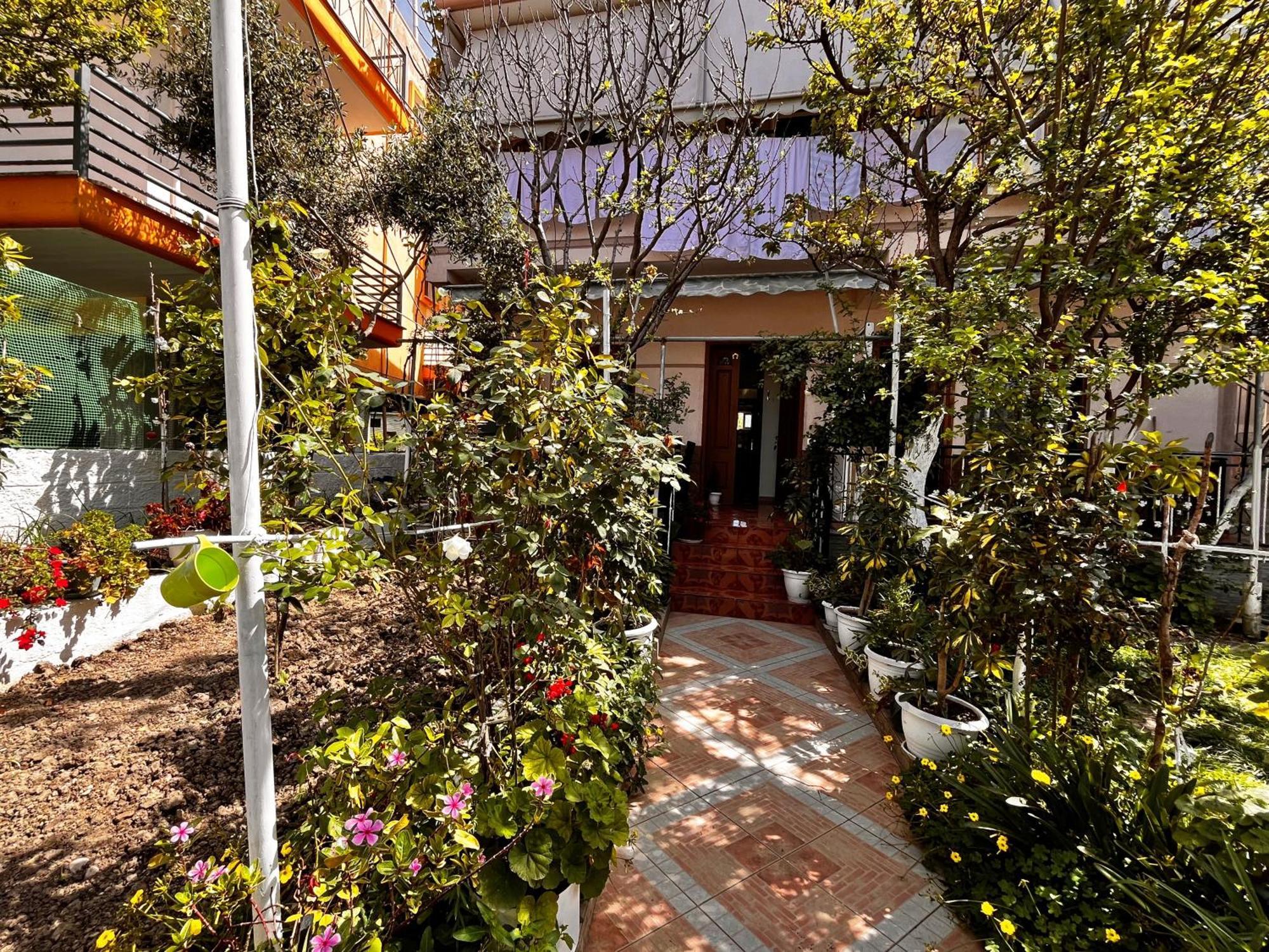 Beach & Chill Apartments Avlonya Dış mekan fotoğraf